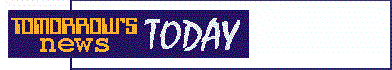 Tomorrow's News Today: Critically acclaimed strategic guide to online publishing